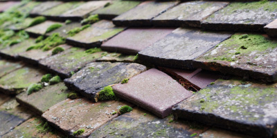 Shefford roof repair costs